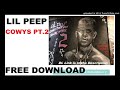 FREE DOWNLOAD Lil Peep Come Over When You Re Sober Pt 2 COWYS PT2