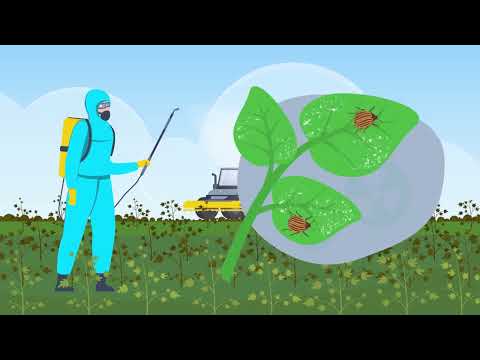 Pestisidlərdən düzgün istifadə qaydaları