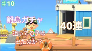 久しぶりに離島ガチャしたら…「あつ森」「離島ガチャ」