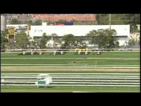 2009 - Ranvet - Theseo