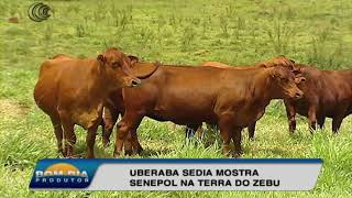 Miniatura do vídeo