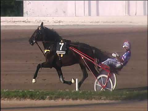 Trotto 22/10/2019 - 5ª corsa