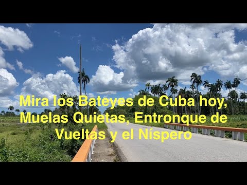 Muelas Quietas, Entronque de Vueltas y el Níspero Barrios de campo en Cuba de Camajuani abril 2026