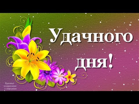 Удачного дня и отличного настроения!