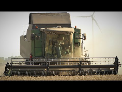 Getreideernte 2022/ Fendt 5275 C PL/ Fendt Favorit 920