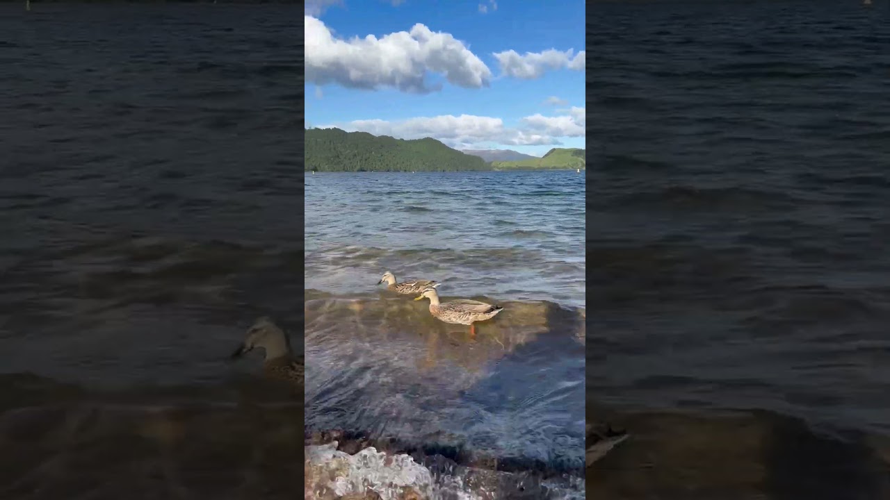 YouTube Short thumbnail