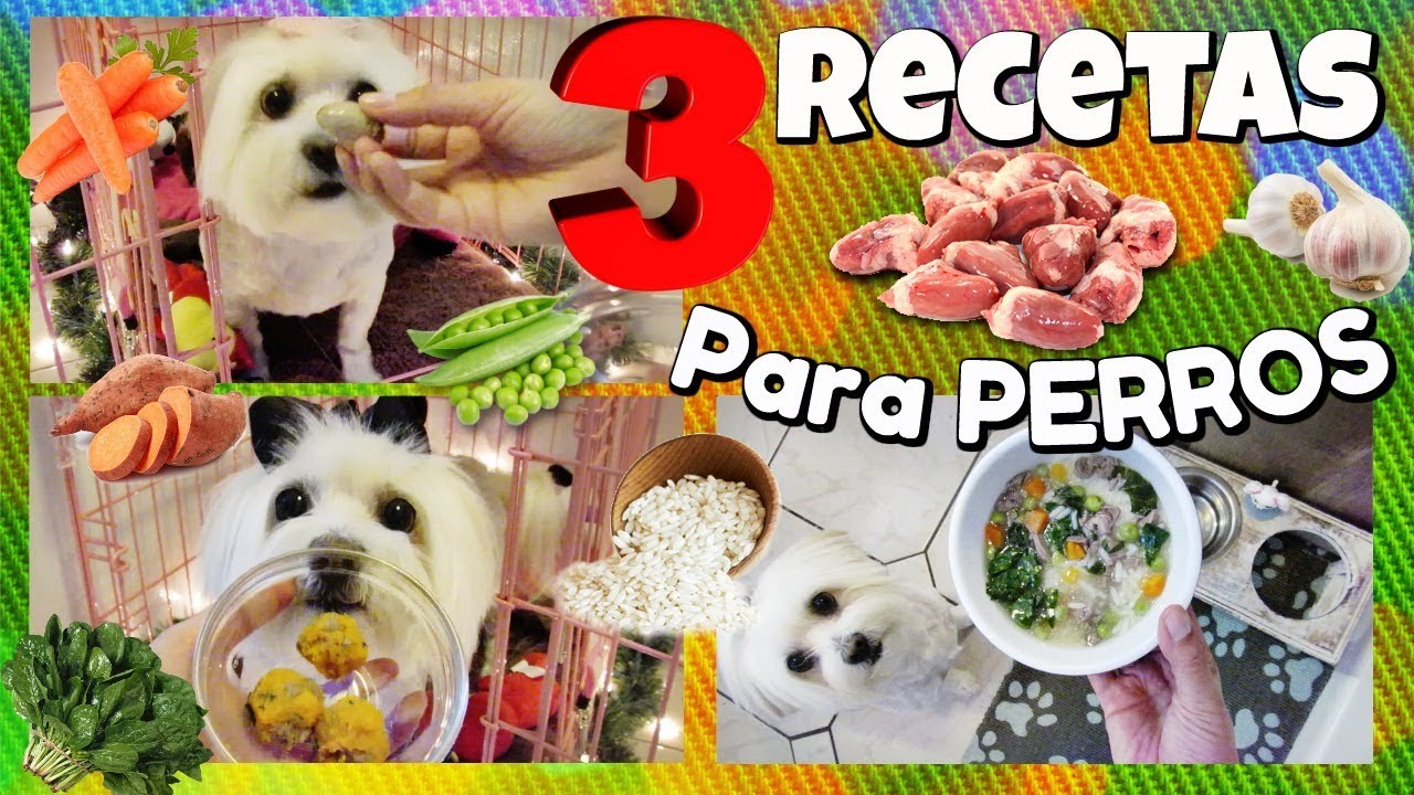 3 Recetas para Perros con Corazon de pollo, comida para 3 dias, snacks I Lorentix