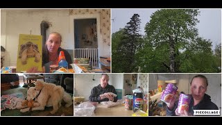 DITL:  Grocery and Dollarama Haul, Jibber Jabber... Bumping Around