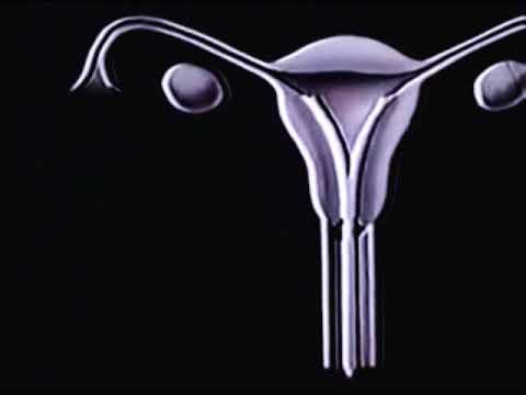 The Story Of Menstruation (1946) | Disney's Period Piece