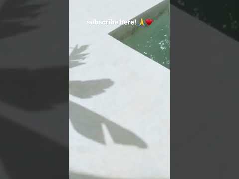 Videos del The Signature Level At Trs Ibiza 5★ en San Antonio, EspañaVer MásVerPrecios15CerrarConsulta por Whatsapp 🇦🇷BookingTripadvisorExpediaTravelocityOrbitzPricelineTripSkyscannerDespegarHotelesDestiniaTrivagoLastminuteHotwireTui