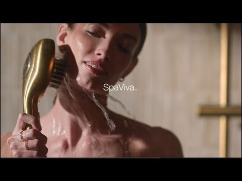 KOHLER K-28682 SpaViva Handshower With All-in-One Cleansing Device - 2.5 GPM, Vibrant Brushed Moderne Brass