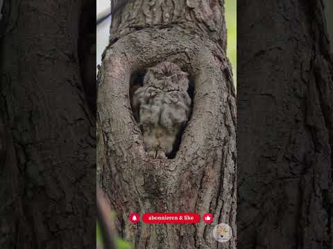 Winter-Safari im Garten: 3 spannende Entdeckungen für Kinder