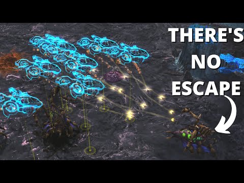 I Found The Magic Number of Sky Terran