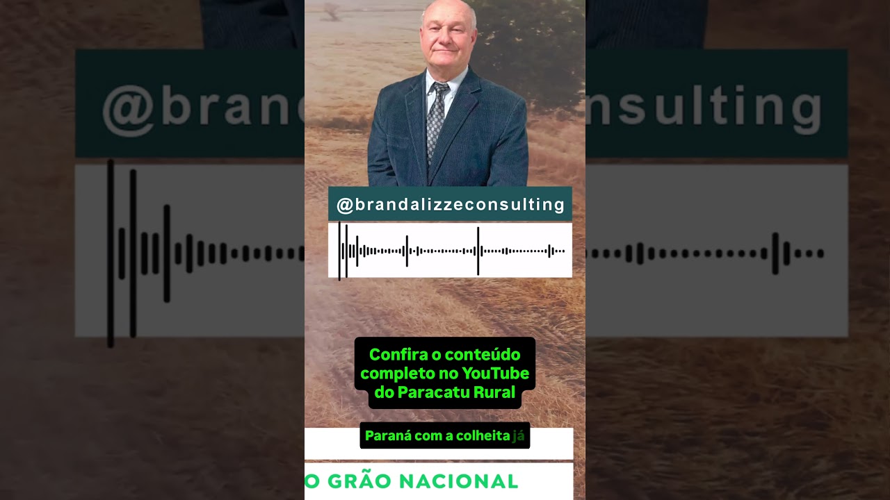 Feijão a R$400, Trigo a R$1.800 e  Arroz em Alta: Até Quando?