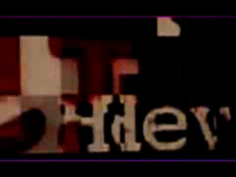 Plattenpapzt ft Dj Ron Tefla & Jaleel  - Was wollt ihr tun (HR3 Dopebeats))