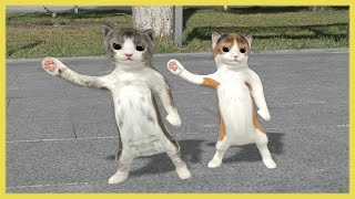 Download lagu Dancing cats... mp3