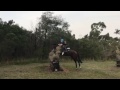 IMG 4839