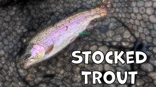 I love the SoCal stocked trout fishing fam! [Irvine Regional Park]