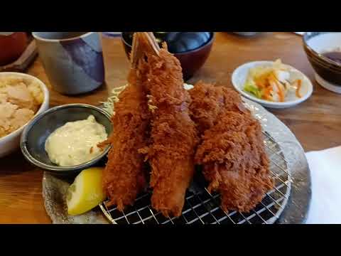 Nossa comida no Tonkatsu Tamafuji.