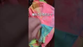 こんな所に隠れていたか