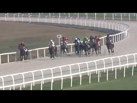 2018.11.11. 06. futam - JACK THE GIANT HENDIKEP (III.o.) (szintetikus pálya)