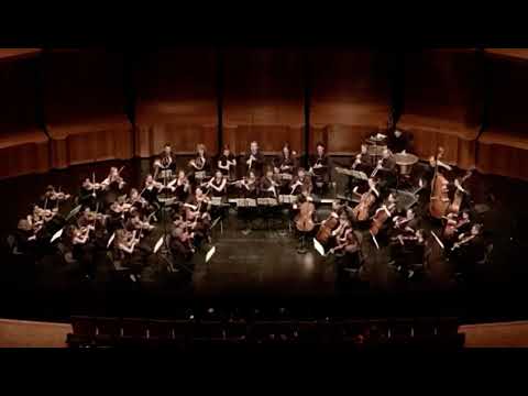 David Grimal Dissonances Beethoven 8, Javier Eguillor ( Timpani )