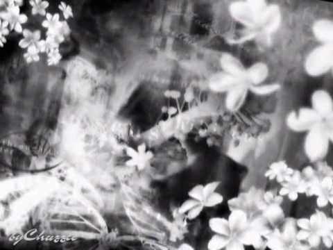 Ion Dichiseanu - Strada