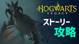 【実況】雑談しながらホグワーツレガシーを遊びまくる生配信！【ホグワーツレガシー】【Hogwarts Legacy】