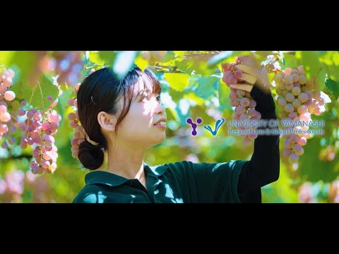 Introduction to University of Yamanashi～Wine Science ver.～