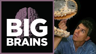 Video thumbnail for the video