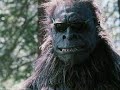 Bigfoot The Unforgettable Encounter