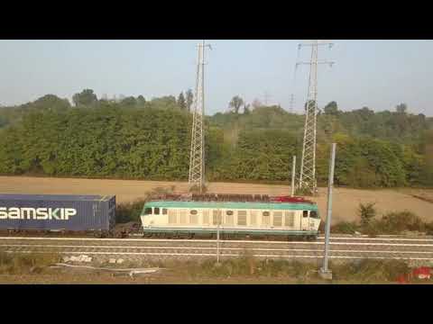 Incrocio di "felini" a Carimate....😏😏