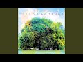 Two Trains - Yo La Tengo - Topic Two Trains