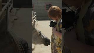 中国を車で1200km旅した結果
