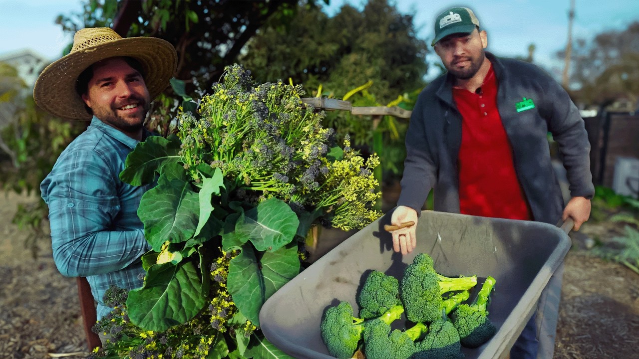 I'm Never Growing Broccoli Again 🙅🏻‍♂️🥦