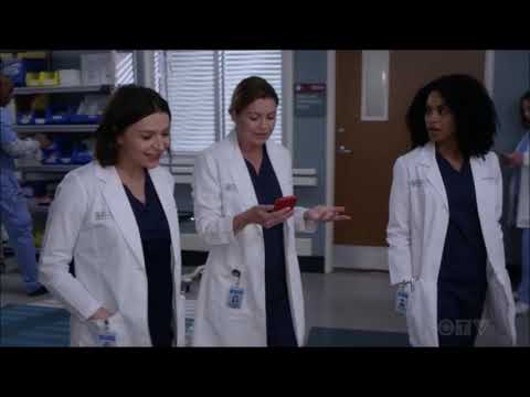 Grey's Anatomy s16e09 - Mister Wolf - Jesse Bear