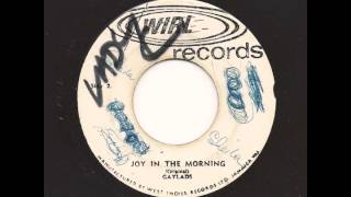 THE GAYLADS - Joy In The Morning - WIRL
