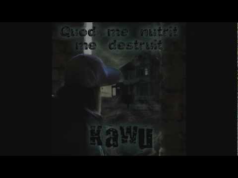 KaWu-Za lepsze jutro (gosc Rzeznik,Skaaj)(Prod.Gregor)