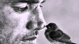 Jesse Cook - Breath - Chill New Age -