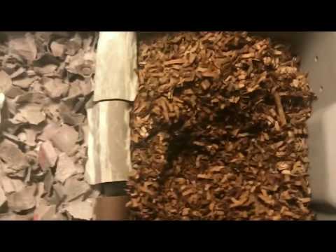 Migration Method Bin: Adding the Worms