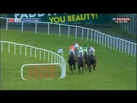 Footpad: Racing Post Novice Chase (2017)