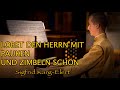 Lobet den Herrn mit Pauken und Zimbeln schön | Sigfrid Karg-Elert l #musica #organ - Caballeros de la Virgen - Heraldos del Ev Ecuador Lobet den Herrn mit Pauken und Zimbeln schön | Sigfrid Karg-Elert l #musica #organ