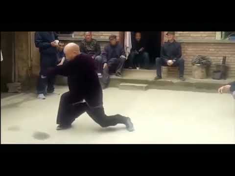 OLD SCHOOL SHAOLIN SEVEN STARS FIST / QI XING QUAN