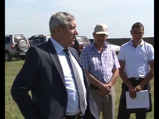 Коси коса, пока роса…