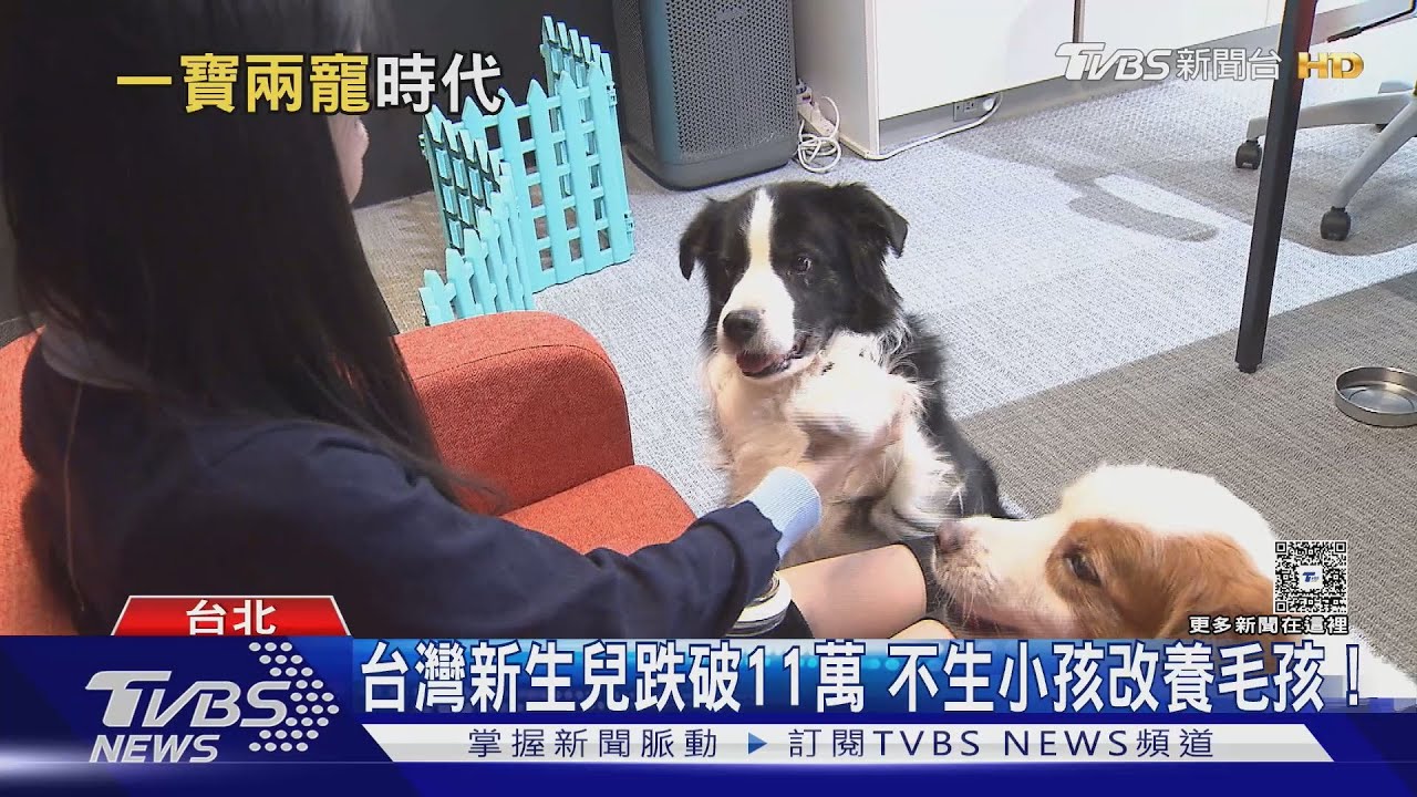 台灣邁入「一寶兩寵」時代！ 新生兒數跌破11萬、不生小孩改養毛孩