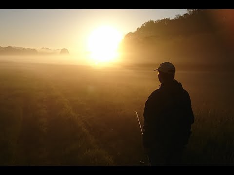 Asp Fishing in May, Hazy River. | Episode #361.
