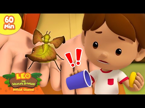 Witness21 Editor  2025 03 22