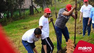 ¡Makro planta árboles en Santa Elena!