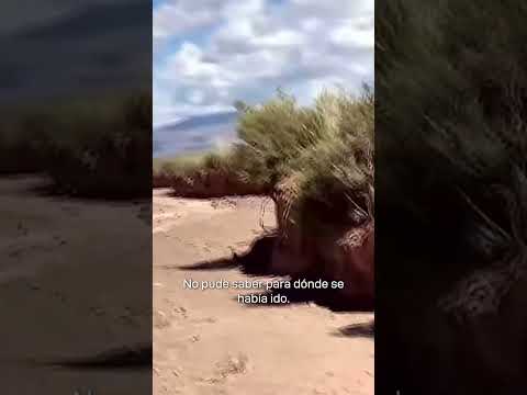 HABLÓ LA MAMÁ DEL NIÑO QUE APARECIÓ EN ABRA PAMPA ❗