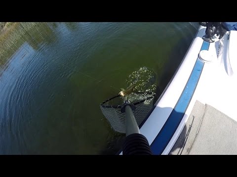 GoPro: Jeff Carpenter - Best Catch 5.29.15 - Fish